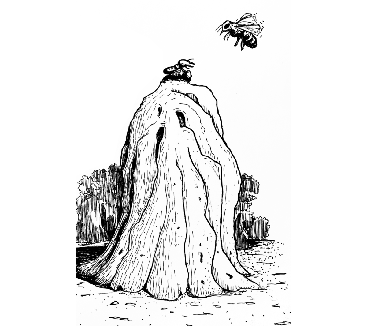 Illustration